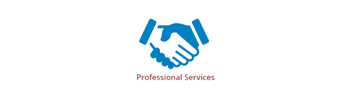 Professional Services