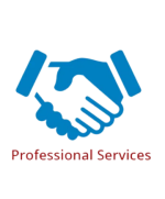 Professional Services